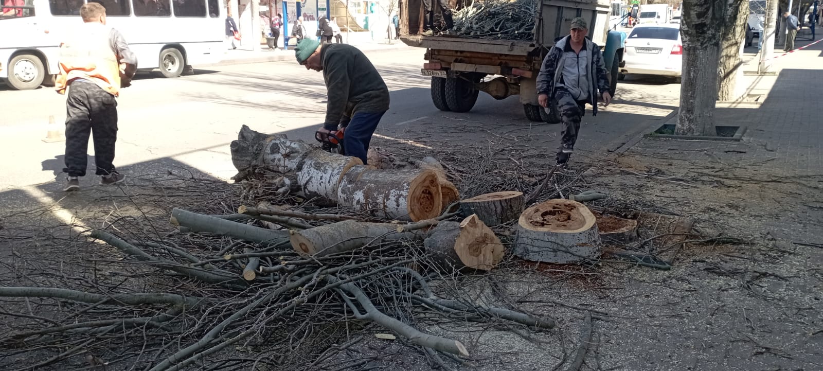 По ул. К, Либкнехта ведутся работы по спилу аварийного дерева.