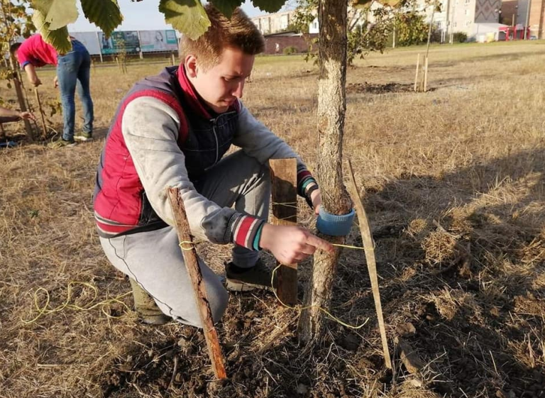 Ейская молодёжь высадила более 50 деревьев на улице Казачьей