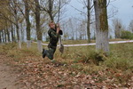 zarnica_res_6