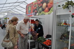 yarmarka_2012_res_1