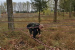 zarnica_res_5