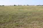 glava-hamaev_05_res