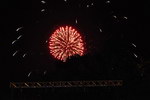 den-gor_res_24