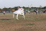 doljan_yubil_res_21