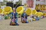 taman_dobavka_res_4