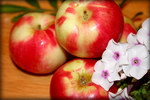 apple_spas
