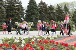 smd_pgr_05_res