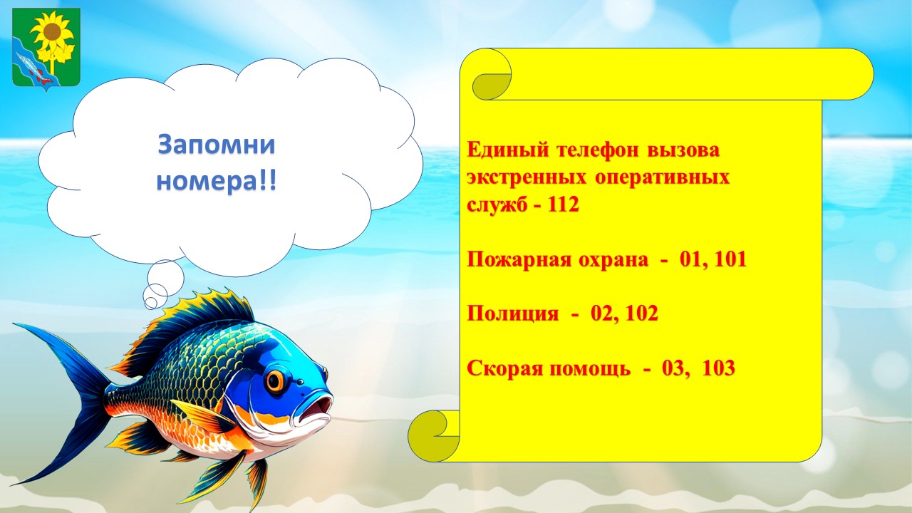 Администрация муниципального образования Ейский район информирует Вас о  правилах безопасного поведения на водных объектах: